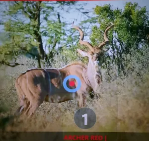 Bogenjagd – Mehr als 3D!