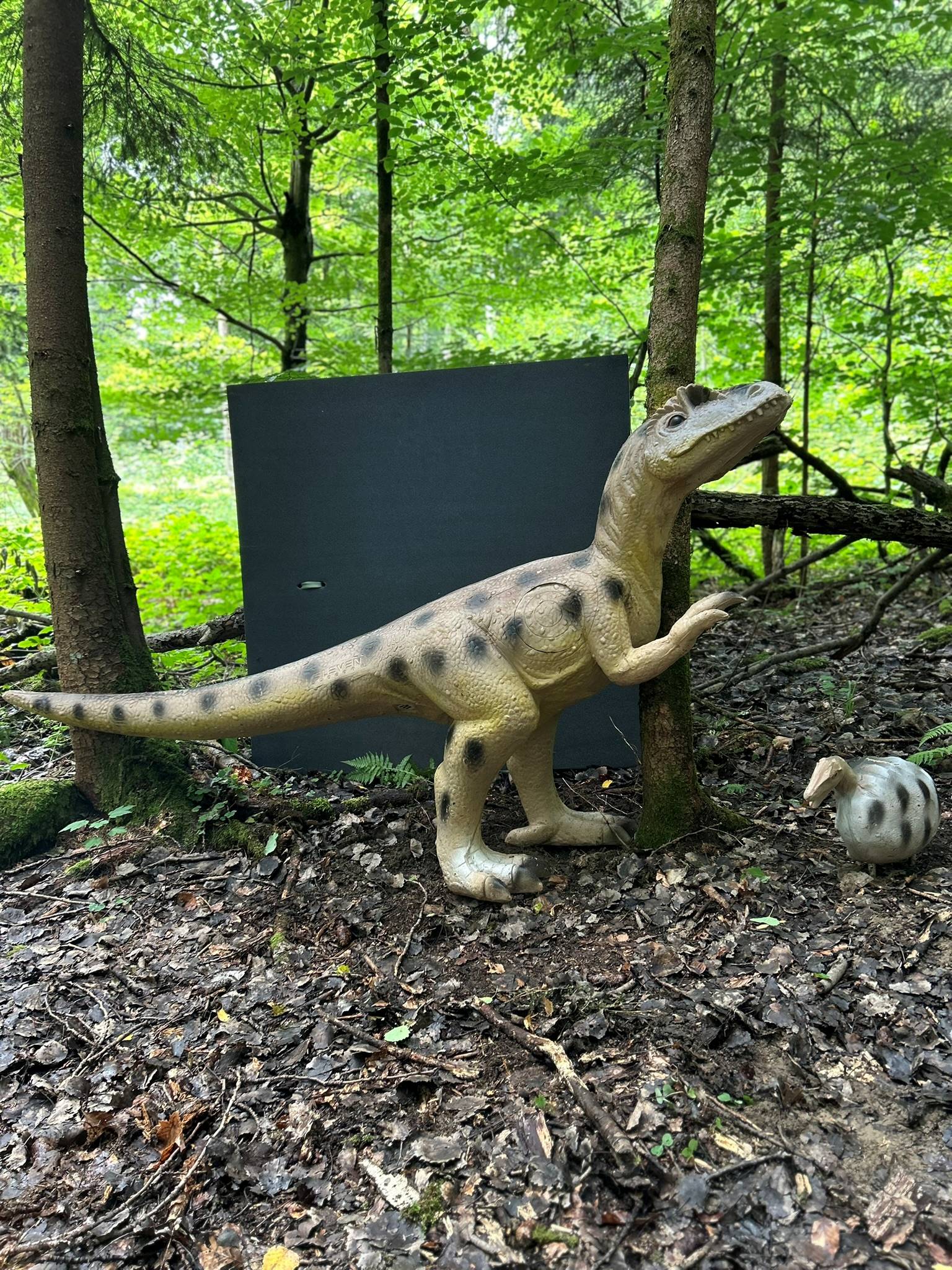3D Parcours Bild