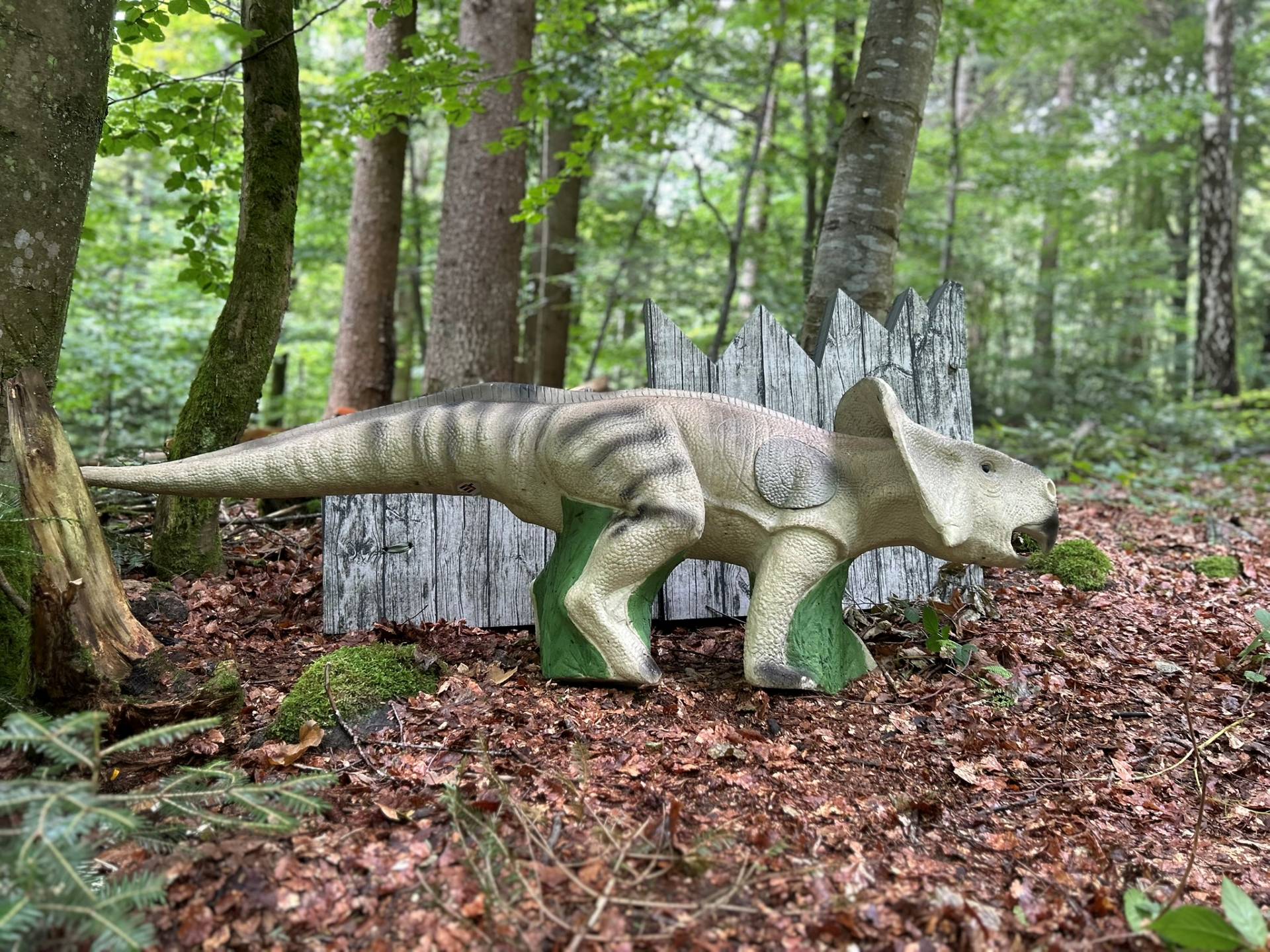 3D Parcours Bild